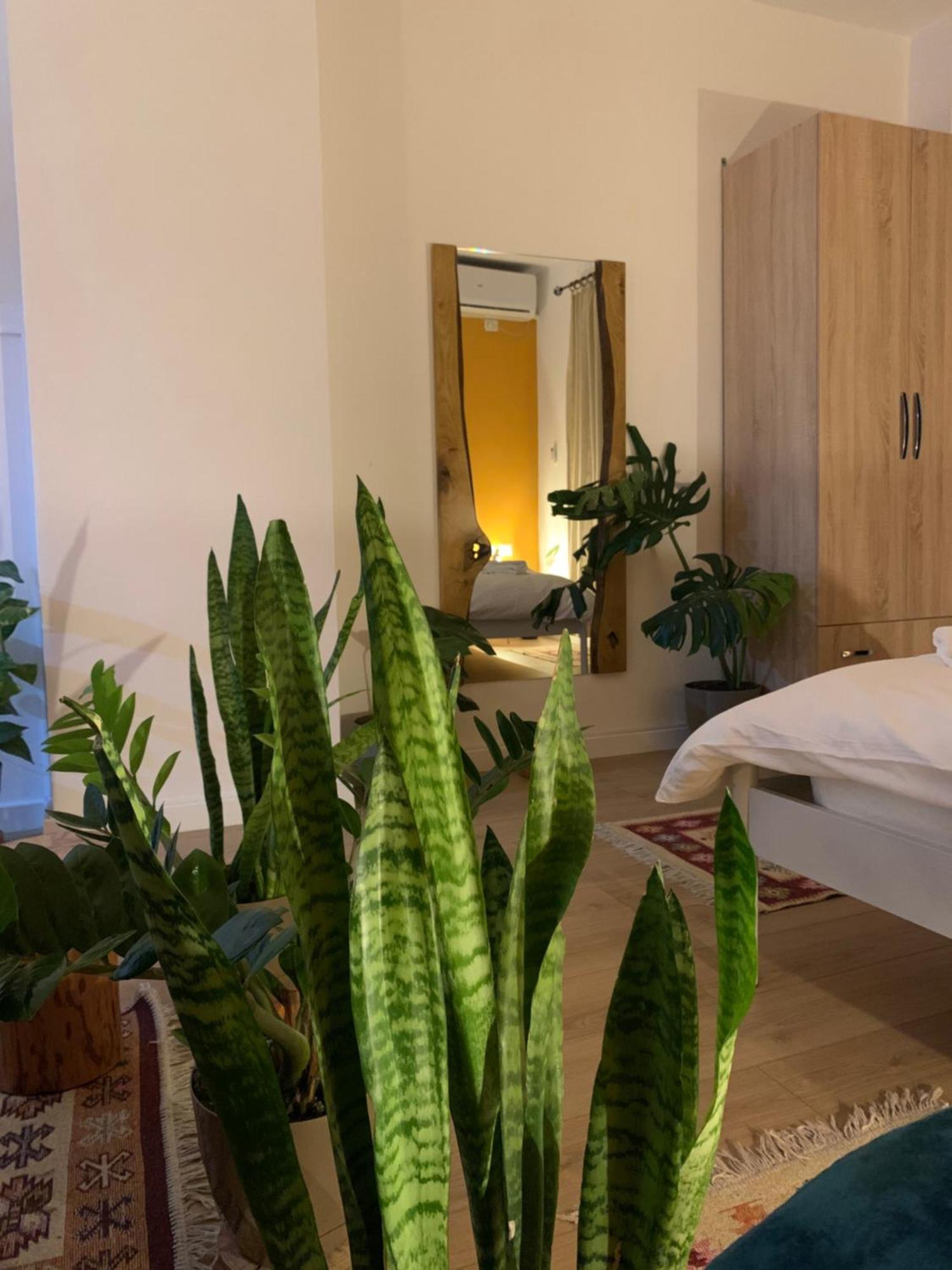 Vibe Studio Apartment Tirana Exteriér fotografie